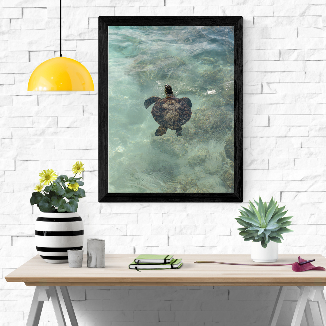 framed print sea turtle hawaii photography fine art wall decor print beach aesthetic poster living room wall art tropical gift for traveler
