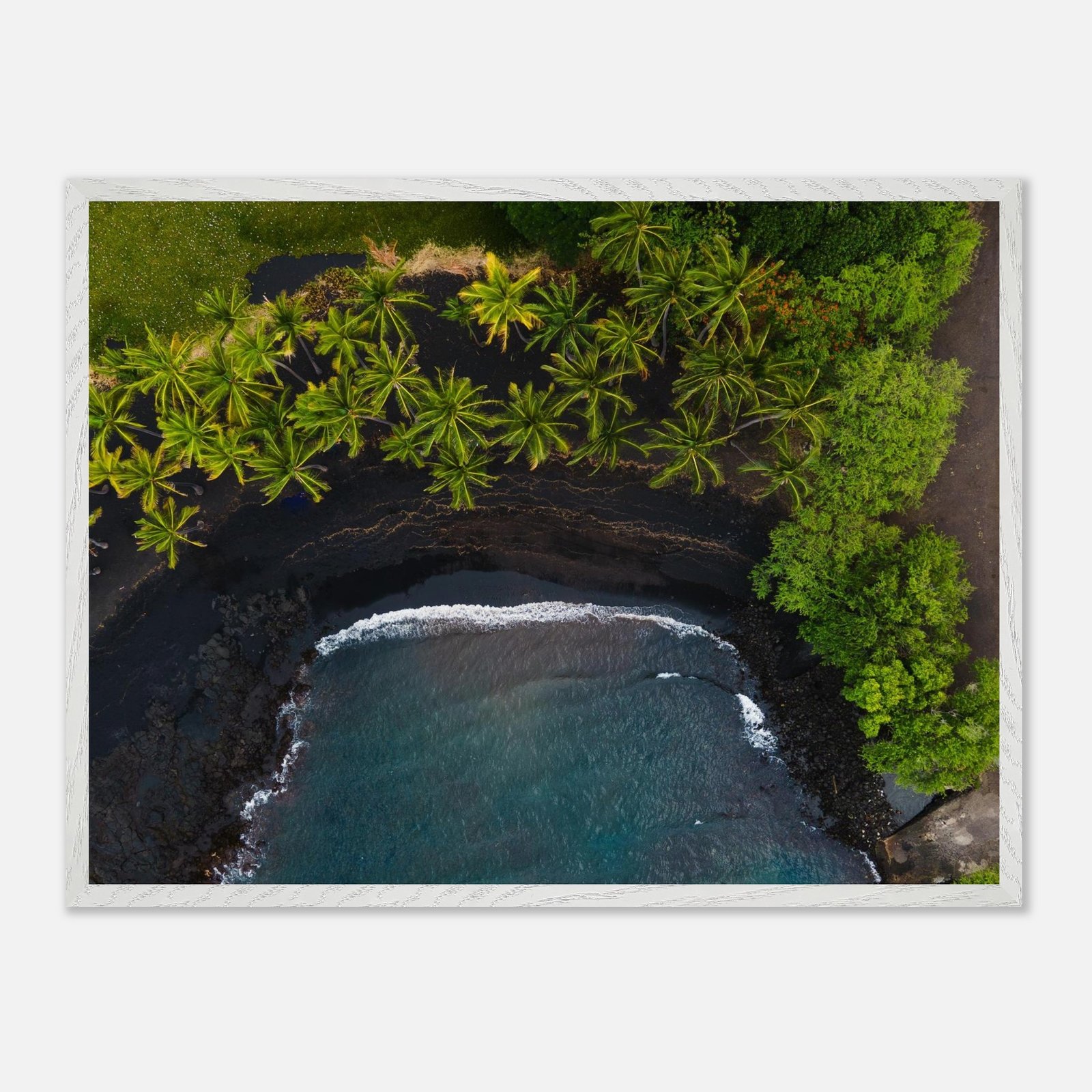 50441005-aef2-4216-9103-e6a9c523ff79