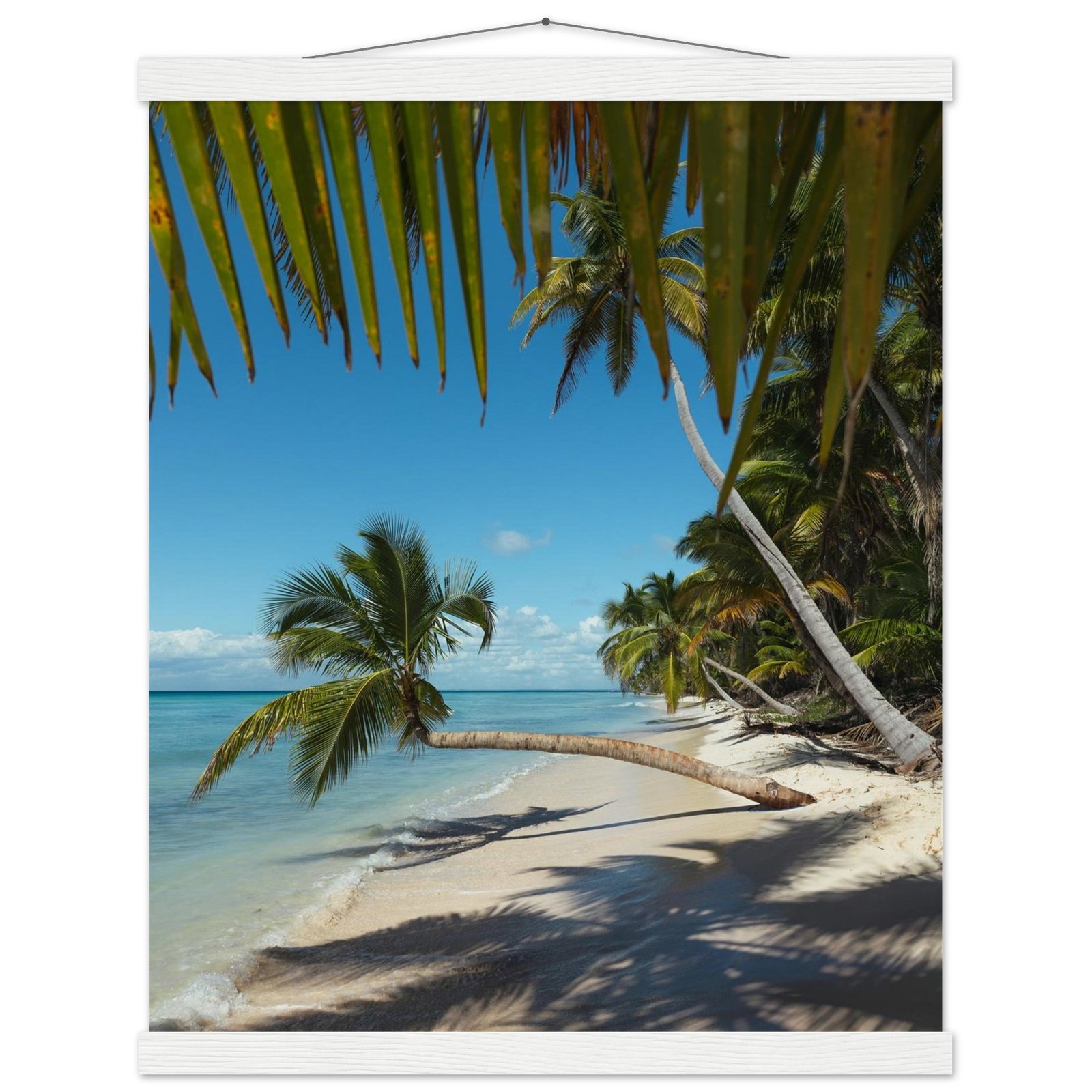 5d8c4e0d-69f1-4591-afd3-789a80aecf16