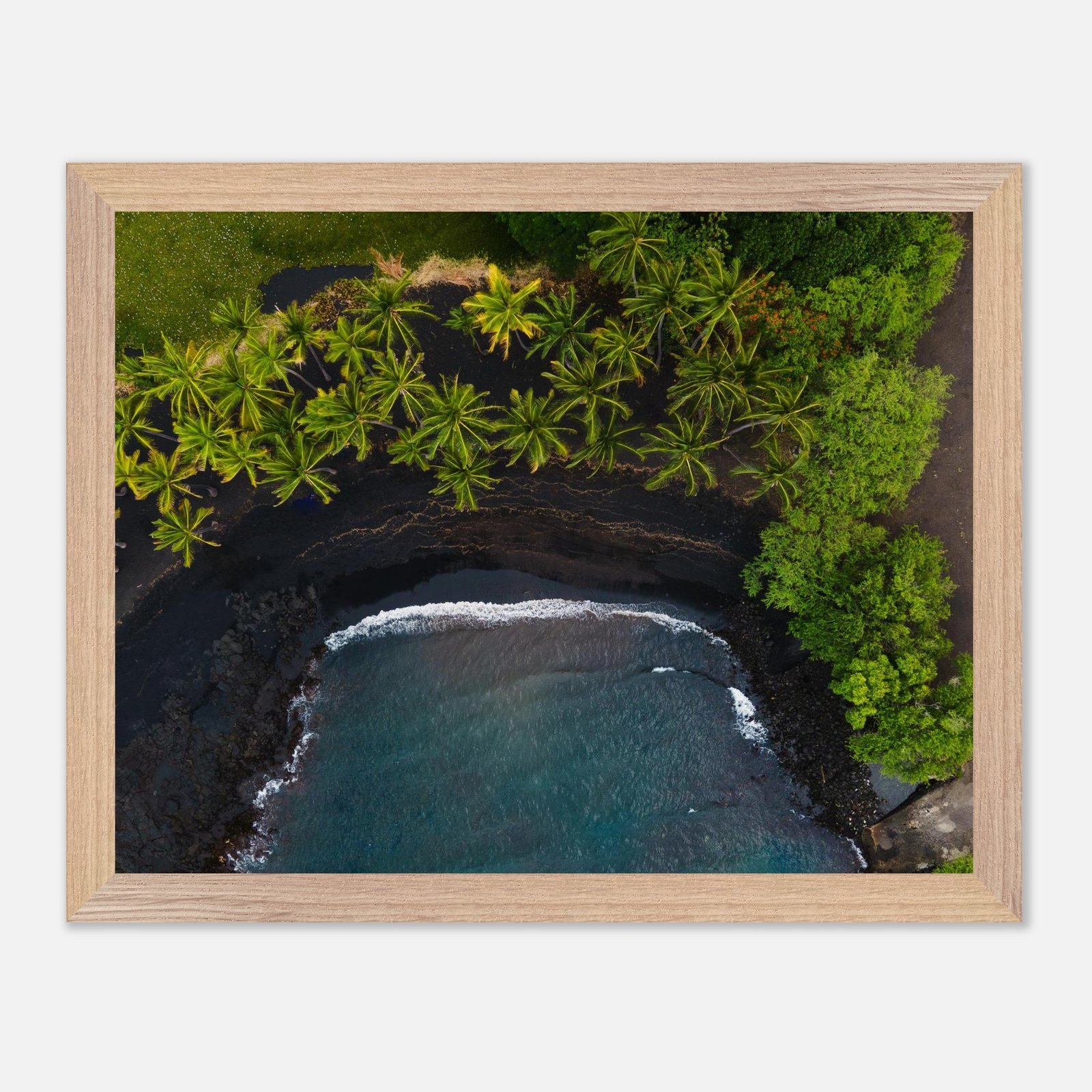 91e5abe0-c355-49b9-961a-6840c29037bf