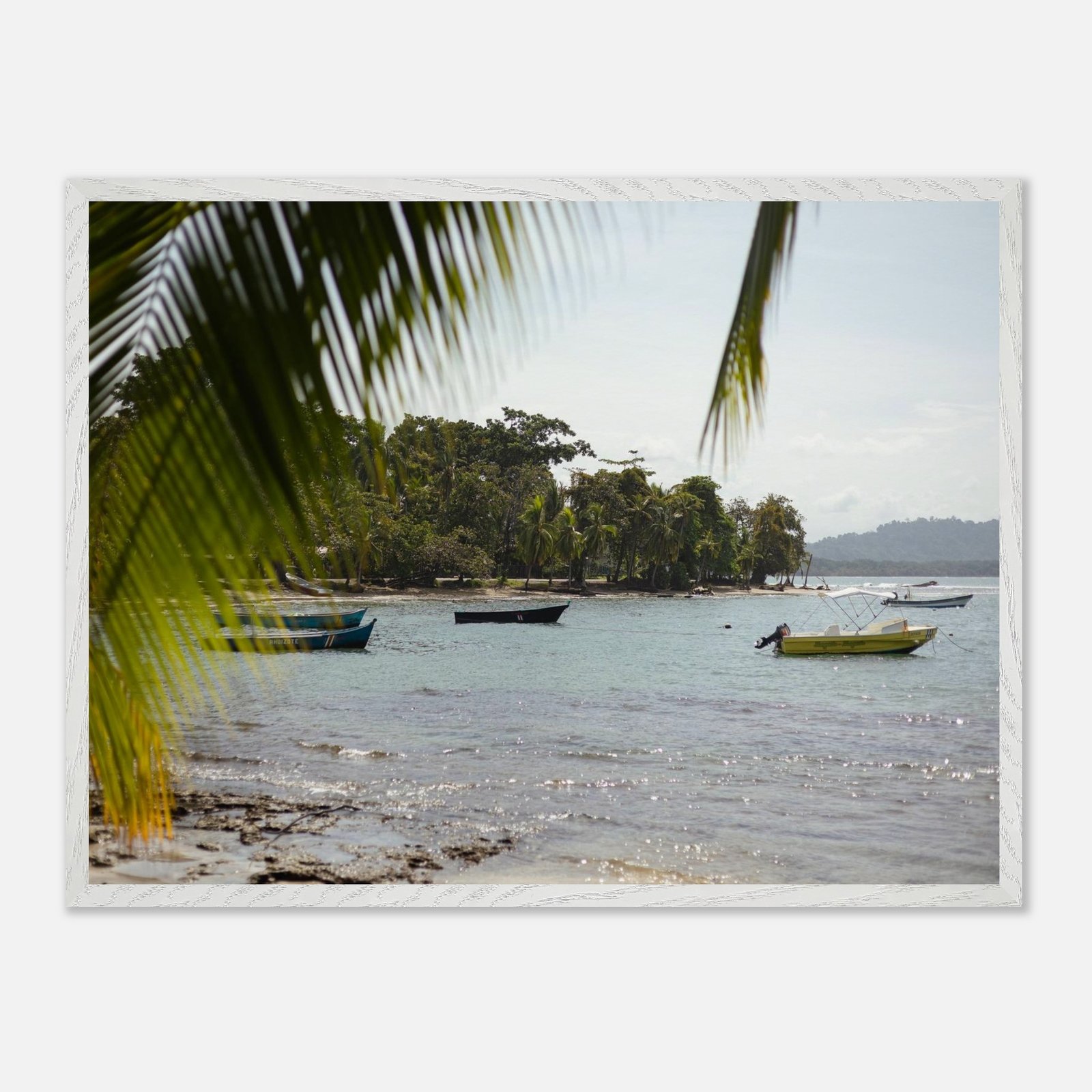 95a2a29b-0f58-445c-88cd-edece18b2920