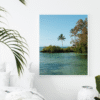 oasis tropicale