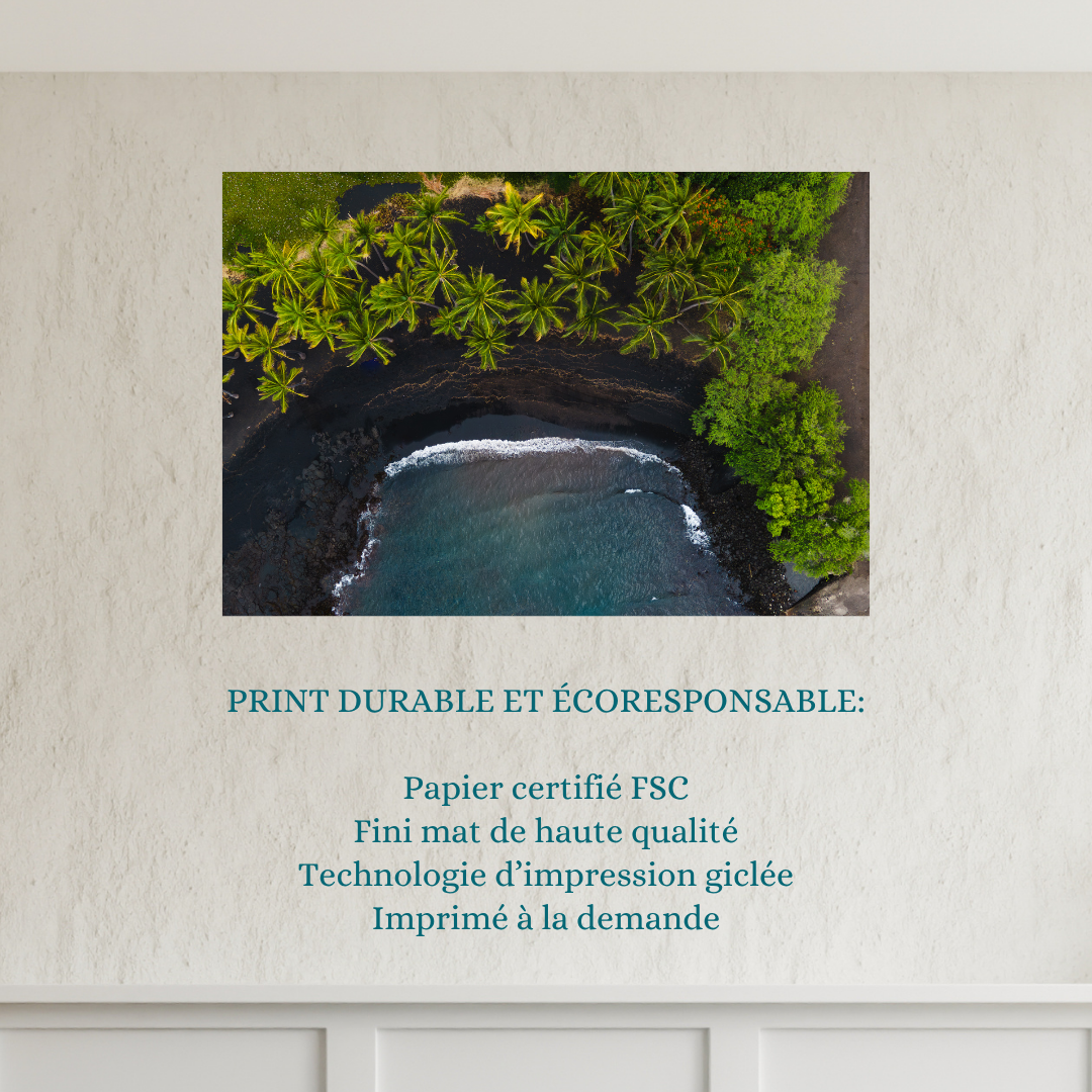 plage volcanique vue du ciel plage volcanique vue du ciel