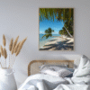 souffle tropical souffle tropical