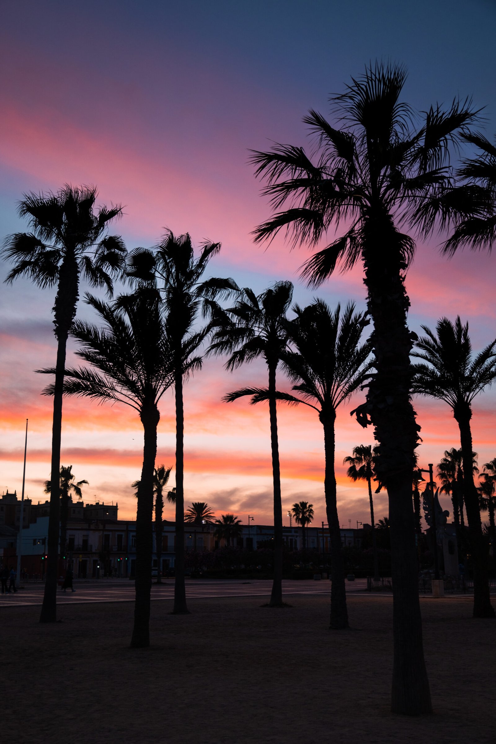 fin de journée à valence avec cadre en bois