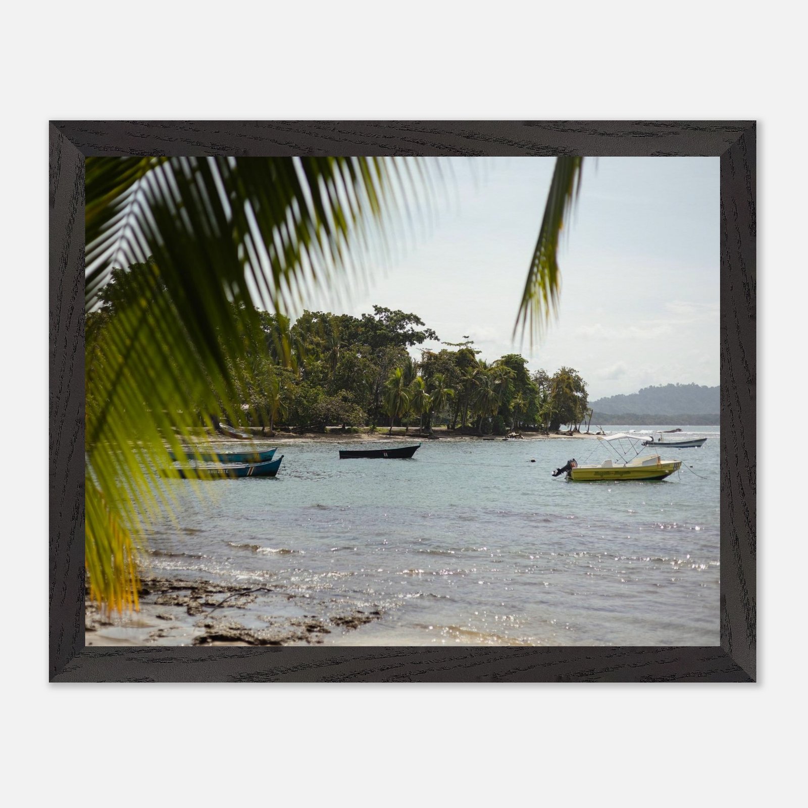 ace1b596-9401-4802-b8dc-1ef1e2a89906