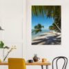copy of promenade matinale en thaïlande c22f7127-69e3-4760-bd34-fb4d39e87689