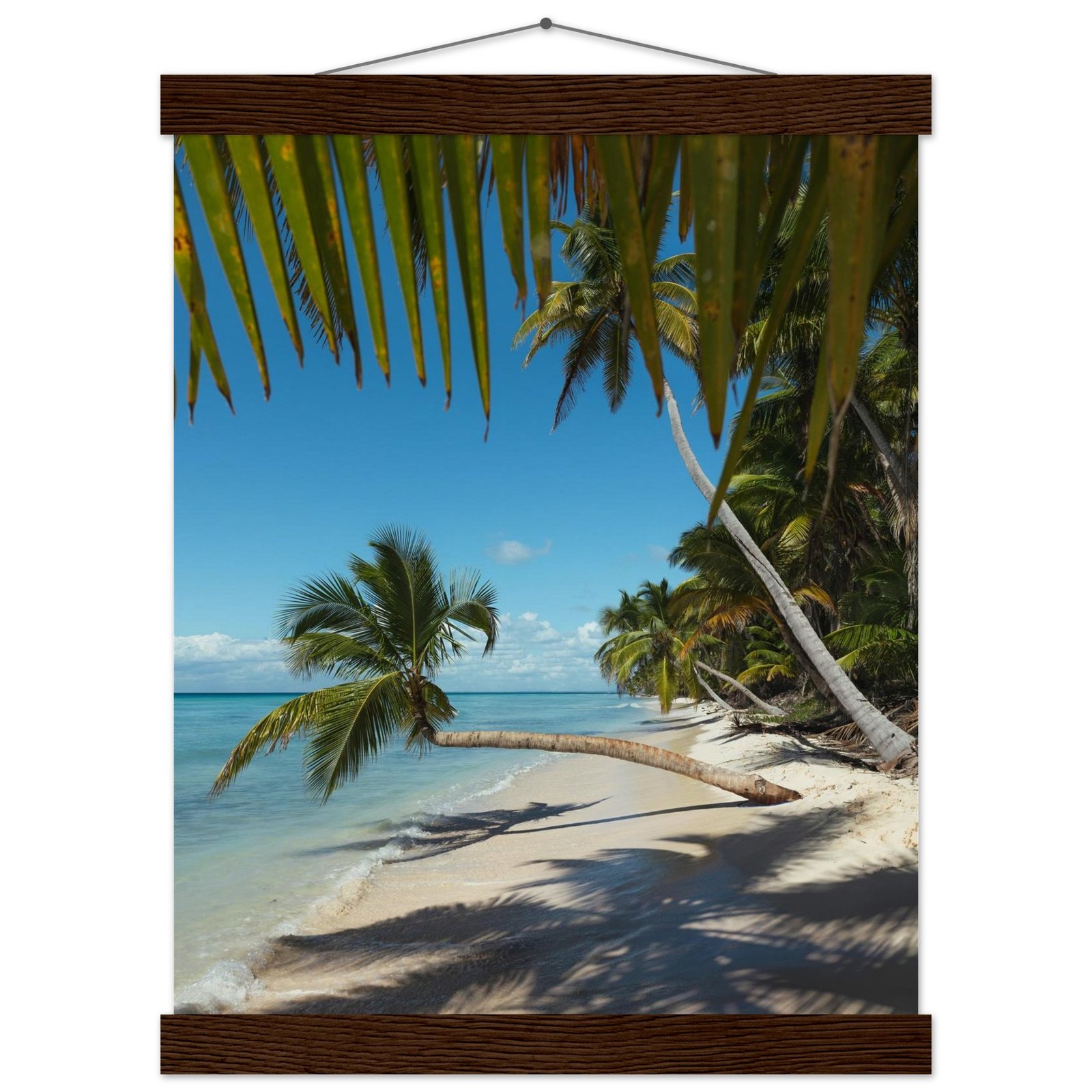 c7dff908-23d1-4b57-a4ea-77d4a9987c5f