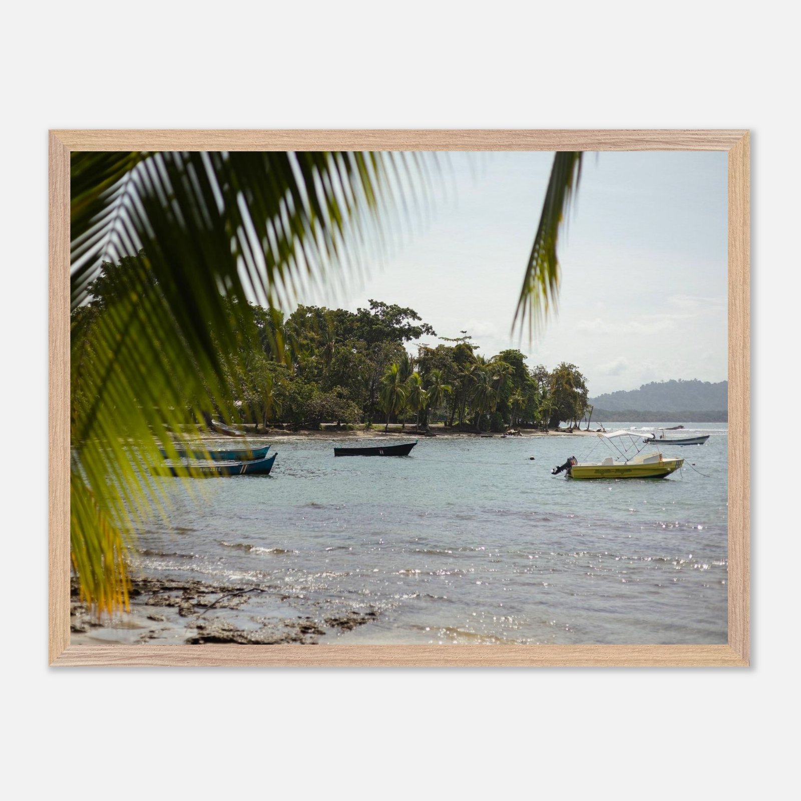 cae77387-156e-408e-9cd3-0d322721ce9e