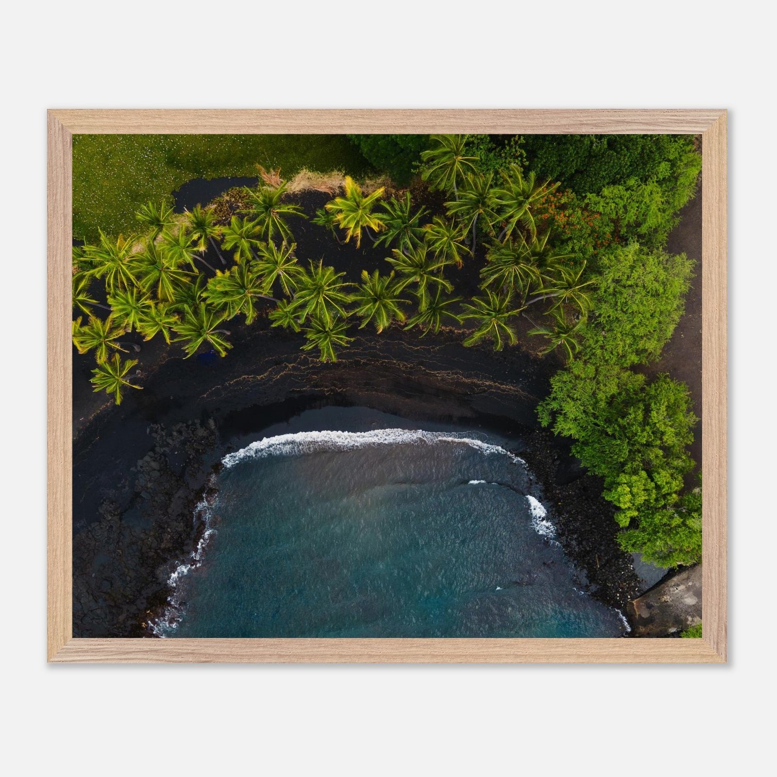 de186fe6-8fec-4ad9-9b5e-a9ba924f52e2