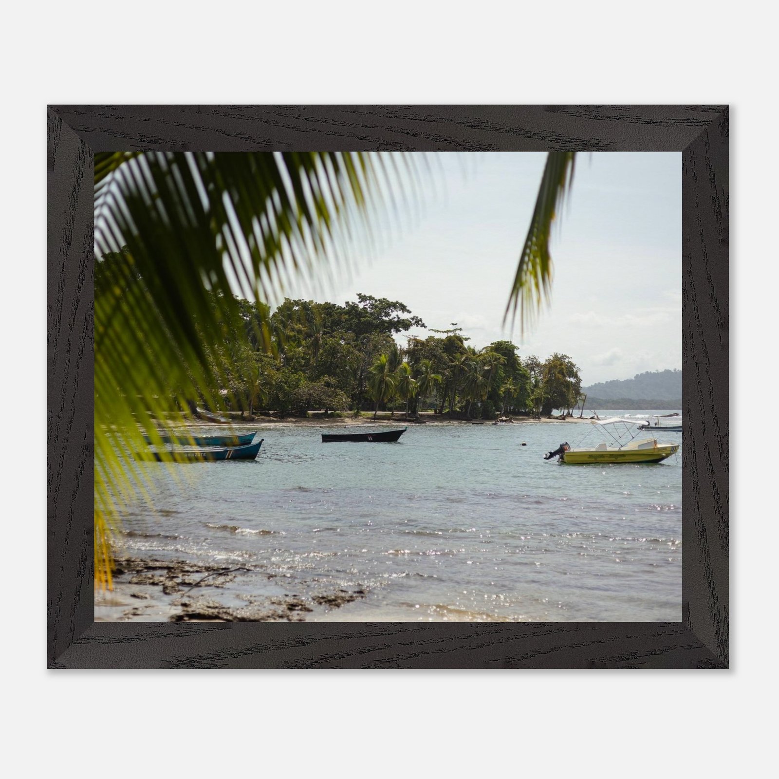 f4cf6d6c-39fb-4b18-8f25-aa24974721a5