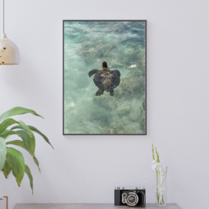 print sea turtle hawaii photography art wall bedroom print beach aesthetic poster travel living room wall art gift for traveler