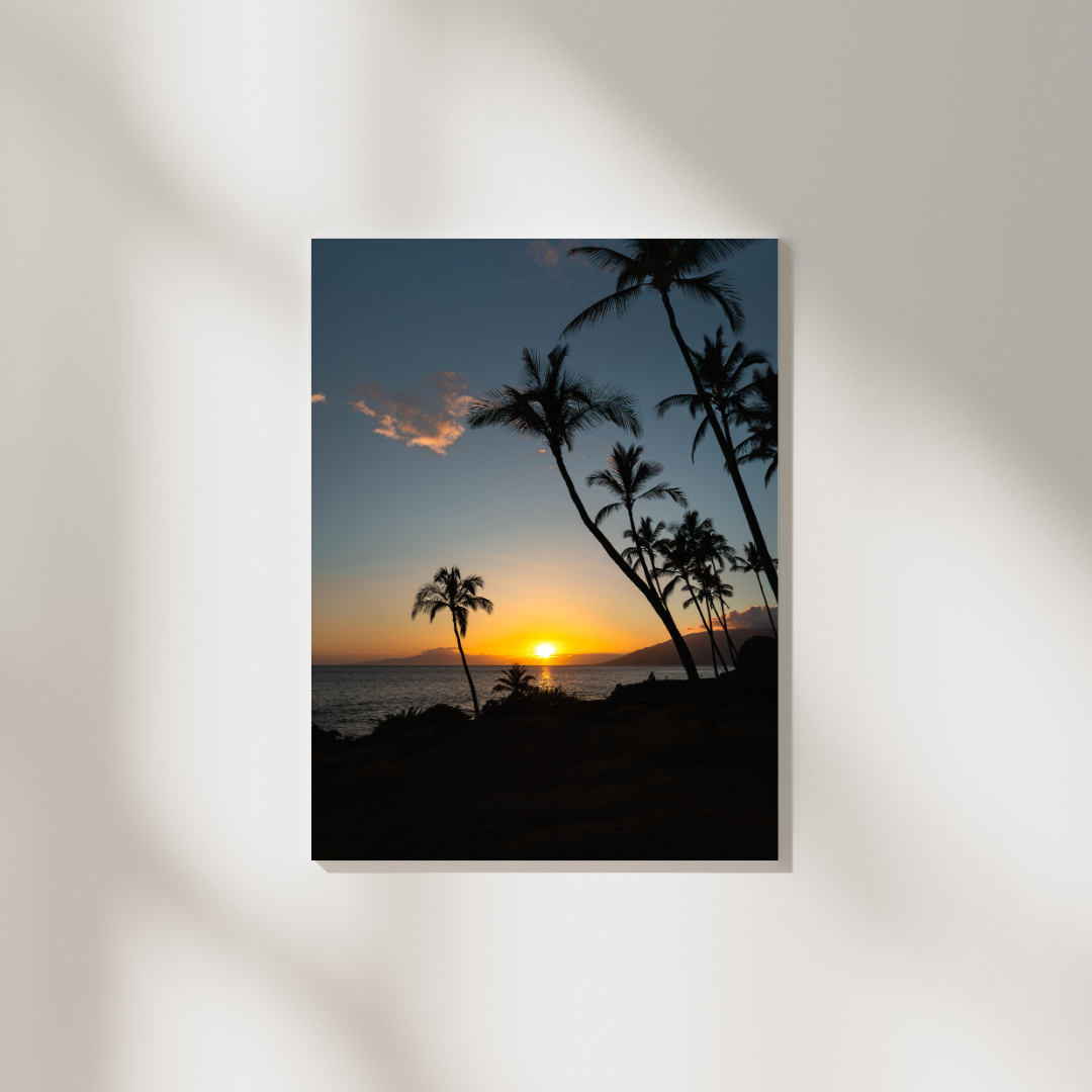 Accueil Coucher de soleil et palmiers